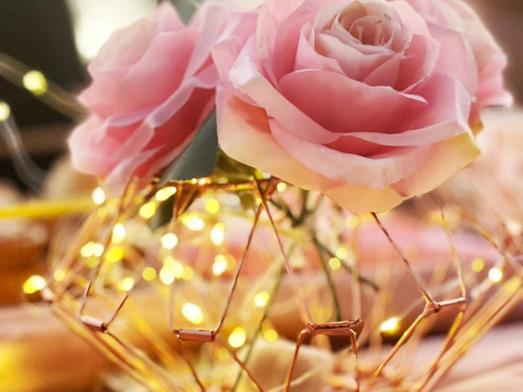 Roses - 1nikah